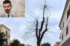 San Ferdinando e la sfida del clima: «correggere gli errori, senza trasformarli in dogmi intoccabili»: parla il consigliere Musci