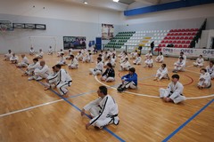 Taekwondo Itf, successo per il Corso Nazionale di Formazione 2026 a San Ferdinando