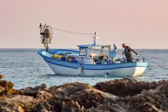 "Miglio 0", Coldiretti promuove la pesca trasparente