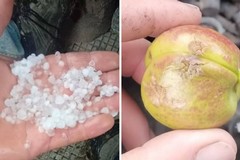 Calamità, Forza Italia San Ferdinando: «Sospendere tributi locali e rateizzazioni»