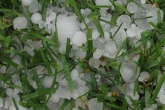 Violenta grandinata a San Ferdinando, Cicinato: «Danneggiati vigneti, pescheti e altre produzioni locali»