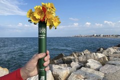 Tra sport e solidarietà: la Master on the Road di San Ferdinando partecipa alla “Run4Hope”