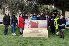 San Ferdinando di Puglia celebra la Festa della Donna con una duplice iniziativa e un concorso rivolto agli studenti