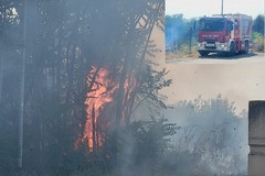 A San Ferdinando di Puglia incendiate sterpaglie presso la zona San Tommaso - FOTO