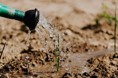 Agricoltura, acqua irrigua fino a fine mese in attesa delle piogge previste