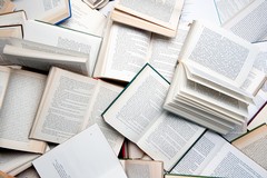 A "Libri nel Borgo Antico" presente anche San Ferdinando