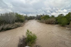 Fiume Ofanto in piena: esondazioni diffuse, sommersi i terreni circostanti