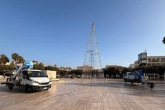 Anche a San Ferdinando arriva il Natale: c'è anche il tanto atteso albero in Piazza della Costituzione