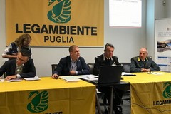 Rapporto Ecomafia, Puglia terza nella classifica regionale dell’illegalità ambientale nel 2017