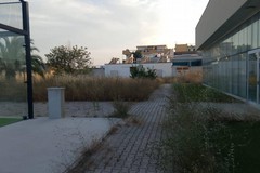 Continuano gli interventi di pulizia straordinaria a San Ferdinando