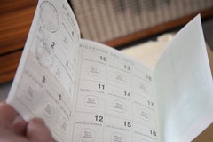 Referendum sulla Giustizia 2026, affluenza ore 23: a San Ferdinando ha votato il 33,65%