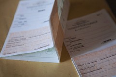 Referendum sulla Giustizia 2026, affluenza ore 12: a San Ferdinando ha votato il 8,72%