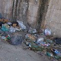 Pulizia straordinaria dai rifiuti abbandonati, un sostegno dalla Regione