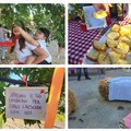 L'associazione Milele organizza il 'Picnic delle Meraviglie'