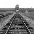 Giorno della Memoria: l'orrore di Auschwitz in tempi moderni