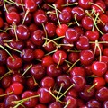 Coldiretti allarma: «Crolla drasticamente il prezzo delle ciliegie»