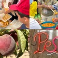 A San Ferdinando arriva la sesta edizione di Peschè che celebra la pesca - FOTO