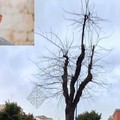 San Ferdinando e la sfida del clima: «correggere gli errori, senza trasformarli in dogmi intoccabili»: parla il consigliere Musci