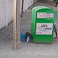 Rifiuti abbandonati, il Comune di San Ferdinando pubblica le immagini delle telecamere