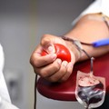 Giornate di donazione nei centri Avis