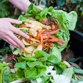 Trattamento rifiuti organici, per San Ferdinando di Puglia ristoro da 18mila euro