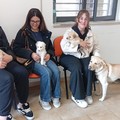 A San Ferdinando i cuccioli della bagnarola trovano casa