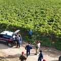 Carabinieri in azione a San Ferdinando di Puglia: 14 lavoratori in nero