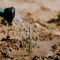 Agricoltura, acqua irrigua fino a fine mese in attesa delle piogge previste