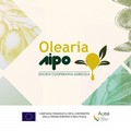 Monitoraggio della mosca dell'olivo, bollettino fitosanitario del 26 settembre
