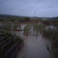 Rischio esondazione fiume Ofanto: disposta l'ordinanza