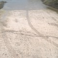 Letto del fiume Ofanto, rampa di cemento per guadarlo