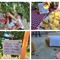 L'associazione Milele organizza il 'Picnic delle Meraviglie'