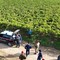 Carabinieri in azione a San Ferdinando di Puglia: 14 lavoratori in nero