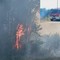 A San Ferdinando di Puglia incendiate sterpaglie presso la zona San Tommaso - FOTO