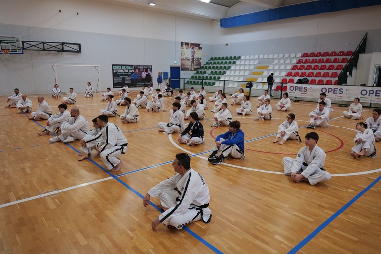 Taekwondo Itf