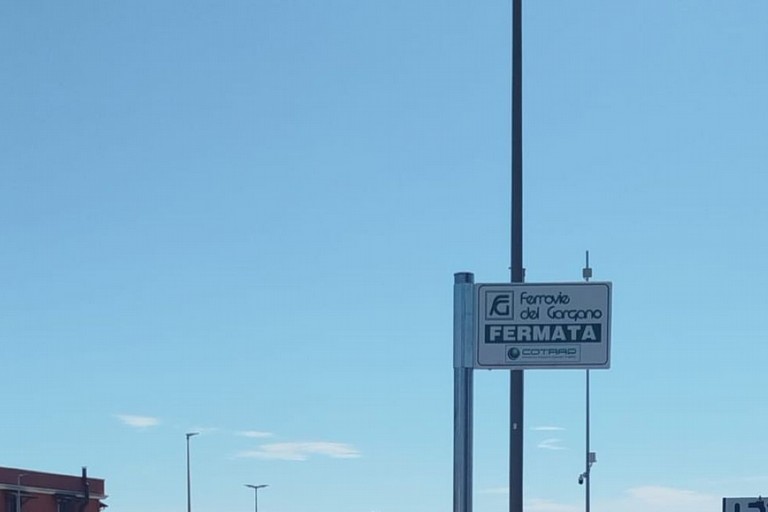 Trasporto pubblico