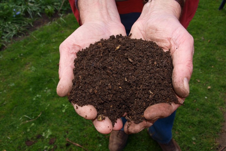 Compost