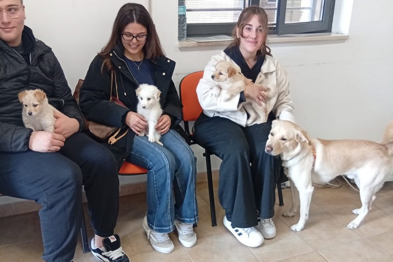A San Ferdinando i cuccioli della bagnarola trovano casa