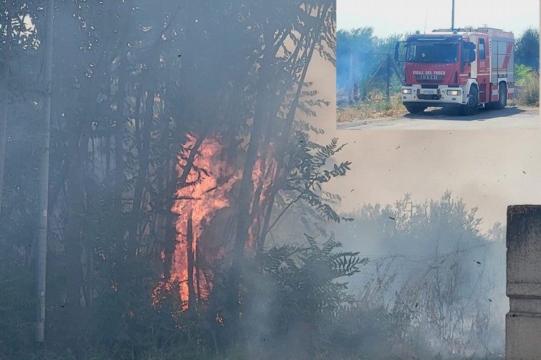 A San Ferdinando di Puglia incendiate sterpaglie presso la zona San Tommaso. <span>Foto Anna Verzicco</span>