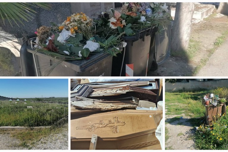 Verde, zona cimiteriale e illuminazione: il consigliere di minoranza Musci condanna lo stato di incuria. <span>Foto pagina Fb Biagio Musci</span>