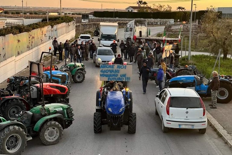 Gli agricoltori di San Ferdinando arrivano in Comune: le richieste del Comitato all'Amministrazione